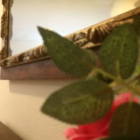 Hotel La Sirenetta *
